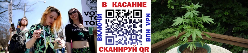 Все наркотики Рубцовск APVP  Марихуана  Меф мяу мяу  Гашиш 