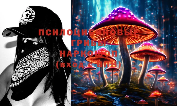 прущие грибы Алексеевка