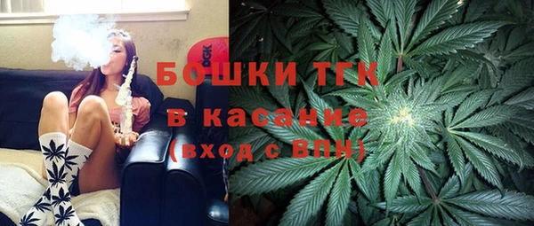прущие грибы Алексеевка