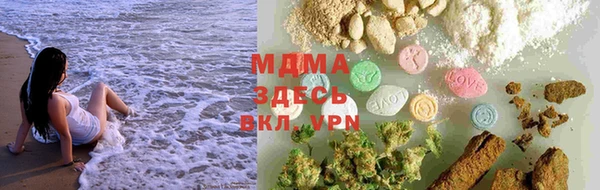 прущие грибы Алексеевка