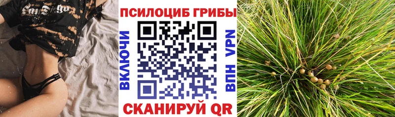 купить наркотик  Рубцовск  Галлюциногенные грибы мицелий 